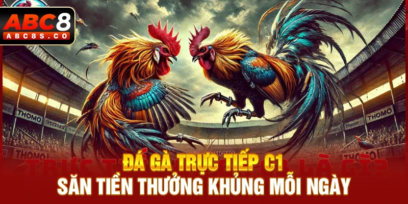 Đá Gà Trực Tiếp C1 - Săn Tiền Thưởng Khủng Mỗi Ngày